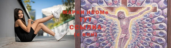 спиды Аркадак