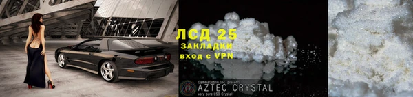 спиды Аркадак