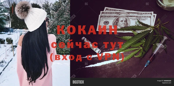 ПСИЛОЦИБИНОВЫЕ ГРИБЫ Армянск