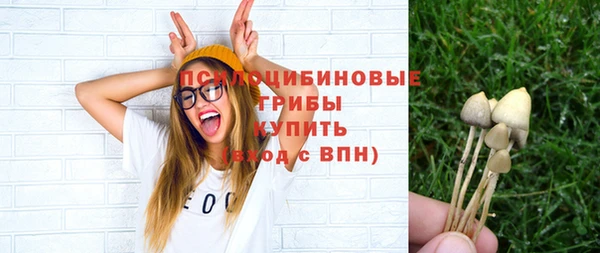 ALPHA PVP Арсеньев
